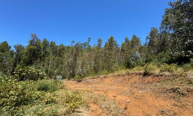 2 hectáreas en el bosque entre Gorbea y Loncoche
