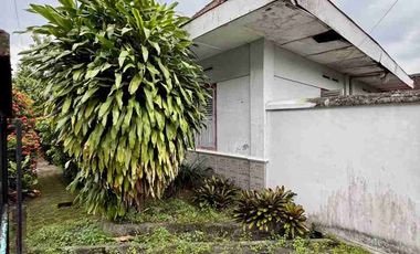 Rumah Vintage Termurah Nempel Istana Pakualaman jogja