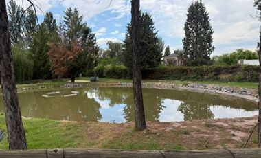 VÓRTICE INMOBILIARIA VENDE CASA EN B° PRIVADO PINARES DE FURLOTTI, MAIPÚ, MENDOZA