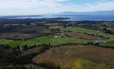Campo con excelente acceso, conectividad e infraestructura productiva en Ilque - Puerto Montt