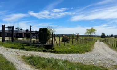 Campo con excelente acceso, conectividad e infraestructura productiva en Ilque - Puerto Montt