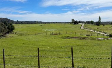 Campo con excelente acceso, conectividad e infraestructura productiva en Ilque - Puerto Montt