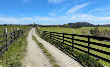 Campo con excelente acceso, conectividad e infraestructura productiva en Ilque - Puerto Montt