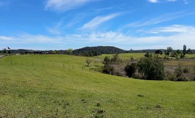 Campo con excelente acceso, conectividad e infraestructura productiva en Ilque - Puerto Montt