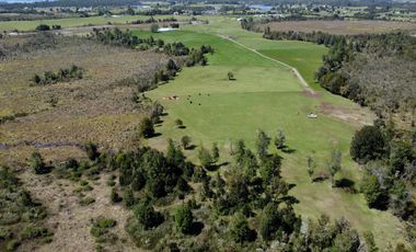 Campo con excelente acceso, conectividad e infraestructura productiva en Ilque - Puerto Montt
