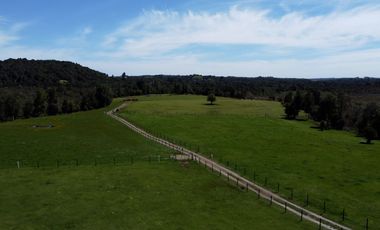 Campo con excelente acceso, conectividad e infraestructura productiva en Ilque - Puerto Montt