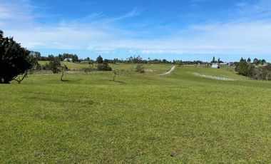 Campo con excelente acceso, conectividad e infraestructura productiva en Ilque - Puerto Montt
