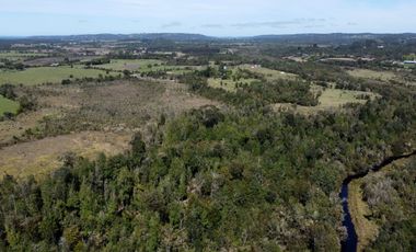 Campo con excelente acceso, conectividad e infraestructura productiva en Ilque - Puerto Montt