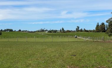 Campo con excelente acceso, conectividad e infraestructura productiva en Ilque - Puerto Montt