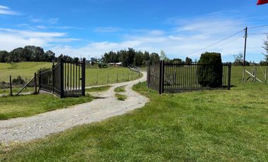 Campo con excelente acceso, conectividad e infraestructura productiva en Ilque - Puerto Montt