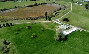 Campo con excelente acceso, conectividad e infraestructura productiva en Ilque - Puerto Montt