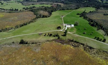 Campo con excelente acceso, conectividad e infraestructura productiva en Ilque - Puerto Montt
