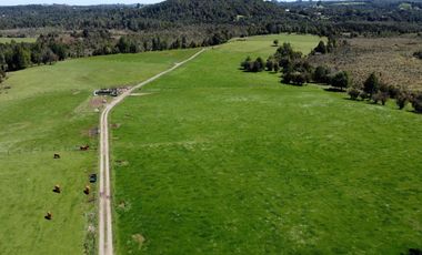 Campo con excelente acceso, conectividad e infraestructura productiva en Ilque - Puerto Montt