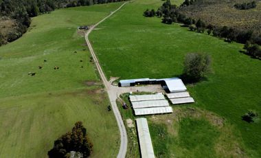 Campo con excelente acceso, conectividad e infraestructura productiva en Ilque - Puerto Montt