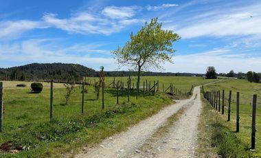 Campo con excelente acceso, conectividad e infraestructura productiva en Ilque - Puerto Montt
