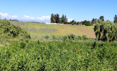 SE VENDE TERRENO EN PELARCO