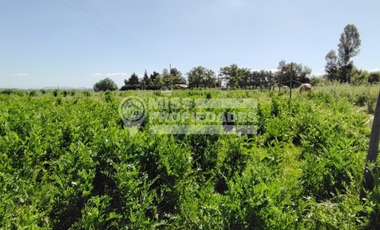 SE VENDE TERRENO EN PELARCO