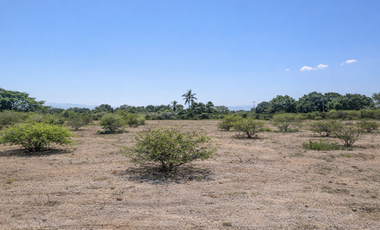 TERRENO INDUSTRIAL EN RENTA BUILD TO SUIT | 5,000 m² + EXPANSIÓN | CORREDOR INTER OCEANICO