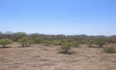 TERRENO INDUSTRIAL EN RENTA BUILD TO SUIT | 5,000 m² + EXPANSIÓN | CORREDOR INTER OCEANICO