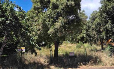 Venta Lote 800m2 con platea - Valor Reducido !!