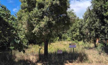 Venta Lote 800m2 con platea - Valor Reducido !!