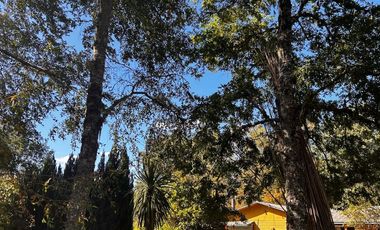 Parcela con casa Pitrufquen - Ñancul