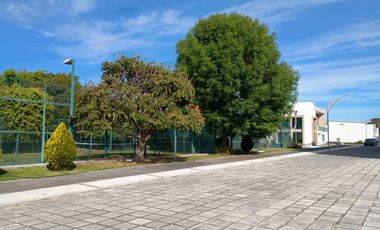 RENTO DEPARTAMENTO AMUEBLADO $15,900 CON 2 RECAMÁRAS, FRACC MORATILLA RUMBO ESTEBAN DE ANTUÑANO Y BLDV HERMANOS SERDAN