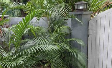 ‼600 sqm Well-Maintained Corner 4BR House and Lot in Magallanes Village Near Dasmarinas Village, San Lorenzo Village & SLEX