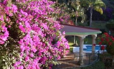 VENTA DE CASA SOLA EN RANCHO CORTES CUERNAVACA MORELOS