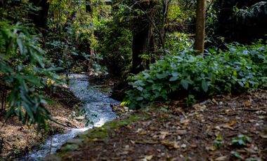 VENTA DEPARTAMENTO EN CALZADA DE LOS REYES CUERNAVACA MORELOS