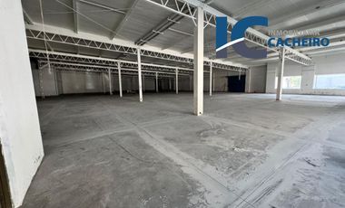 Local en Renta Centro de Monterrey