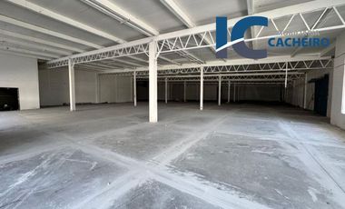 Local en Renta Centro de Monterrey