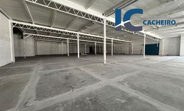 Local en Renta Centro de Monterrey