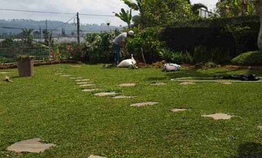 Villa Cimacan - Cimacan Valley - Cipanas Puncak - Cianjur - Jawa Barat