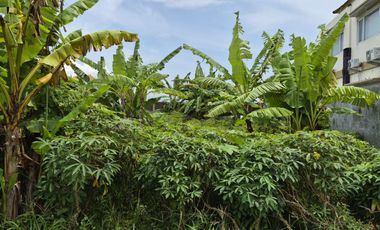 LAND FOR SALE – STRATEGIC AREA BADAK AGUNG, DENPASAR, BALI