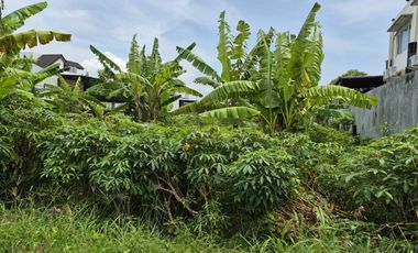 LAND FOR SALE – STRATEGIC AREA BADAK AGUNG, DENPASAR, BALI