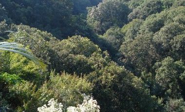 AGRADABLE DEPARTAMENTO CON ESPECTACULAR VISTA A BARRANCA DE TECOLOTE CUERNAVACA