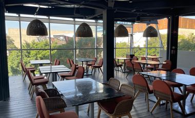 RENTA LOFT GRAN LUJO HYATT INSURGENTES