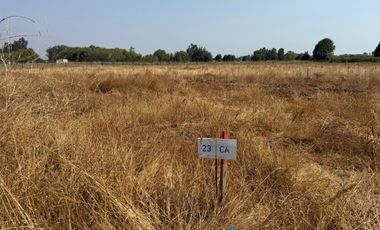 Se vende parcela de agrado de 5.000 m2 en Pangue Arriba,San Rafael