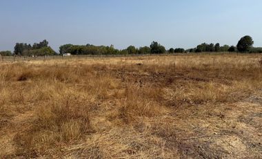 Se vende parcela de agrado de 5.000 m2 en Pangue Arriba,San Rafael