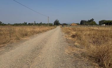 Se vende parcela de agrado de 5.000 m2 en Pangue Arriba,San Rafael