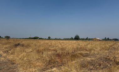 Se vende parcela de agrado de 5.000 m2 en Pangue Arriba,San Rafael