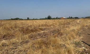 Se vende parcela de agrado de 5.000 m2 en Pangue Arriba,San Rafael