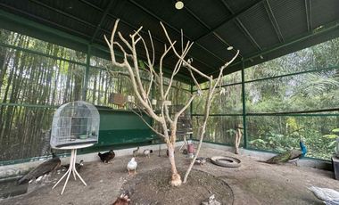 𝐅𝐮𝐥𝐥𝐲 𝐅𝐮𝐫𝐧𝐢𝐬𝐡𝐞𝐝 𝟒 𝐁𝐞𝐝𝐫𝐨𝐨𝐦 𝐋𝐮𝐱𝐮𝐫𝐲 𝐇𝐨𝐦𝐞 𝐟𝐨𝐫 𝐒𝐚𝐥𝐞 | 𝐏𝐥𝐚𝐧𝐭𝐚𝐭𝐢𝐨𝐧 𝐇𝐢𝐥𝐥𝐬, 𝐓𝐚𝐠𝐚𝐲𝐭𝐚𝐲 𝐇𝐢𝐠𝐡𝐥𝐚