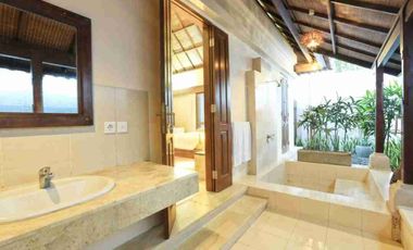 jual villa 12 are dekat central ubud Bali