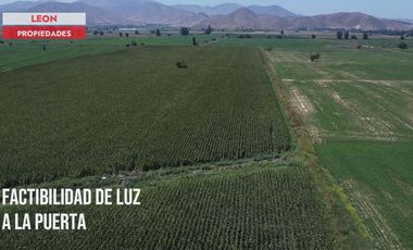 Leon Propiedades vende Gran parcela de 14.9 ha, en sector San Joaquín, Curacaví.
