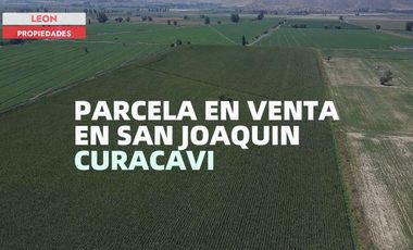 Leon Propiedades vende Gran parcela de 14.9 ha, en sector San Joaquín, Curacaví.