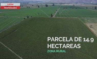 Leon Propiedades vende Gran parcela de 14.9 ha, en sector San Joaquín, Curacaví.