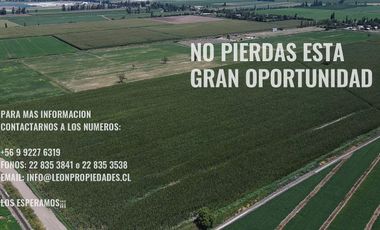 Leon Propiedades vende Gran parcela de 14.9 ha, en sector San Joaquín, Curacaví.