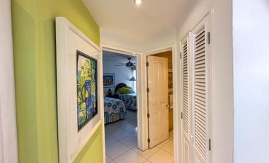 Condo Brisa Las Palmas II